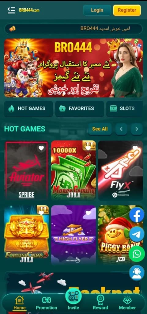 BRO444 Game interface